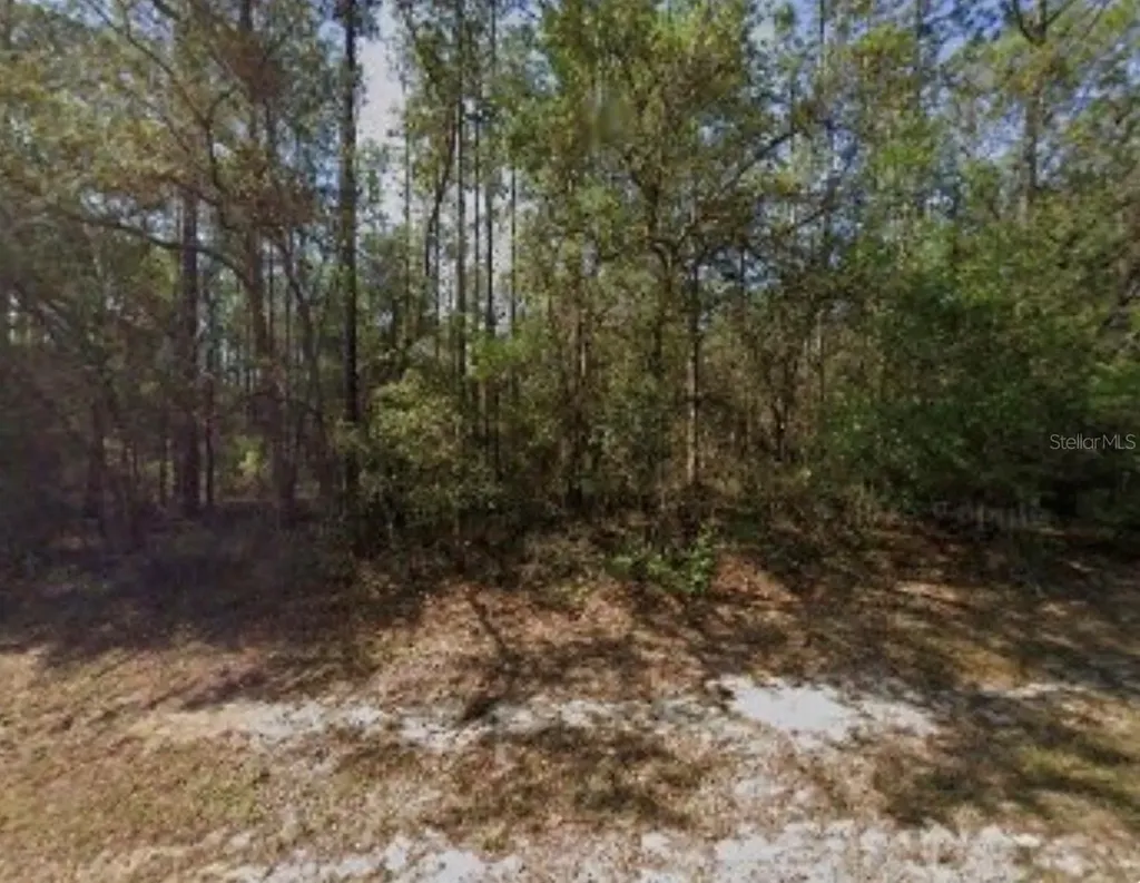 617 E Marquette Lane Dunnellon FL 34434