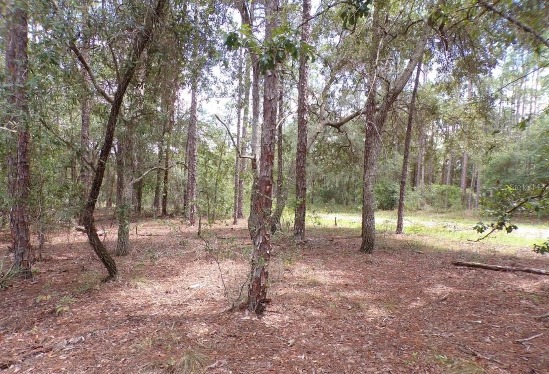 617 E Marquette Lane Dunnellon FL 34434
