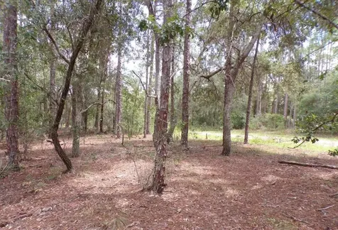617 E Marquette Lane Dunnellon FL 34434