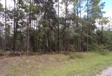 617 E Marquette Lane Dunnellon FL 34434
