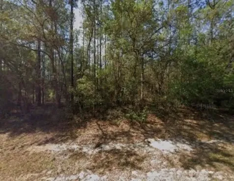 617 E Marquette Lane Dunnellon FL 34434