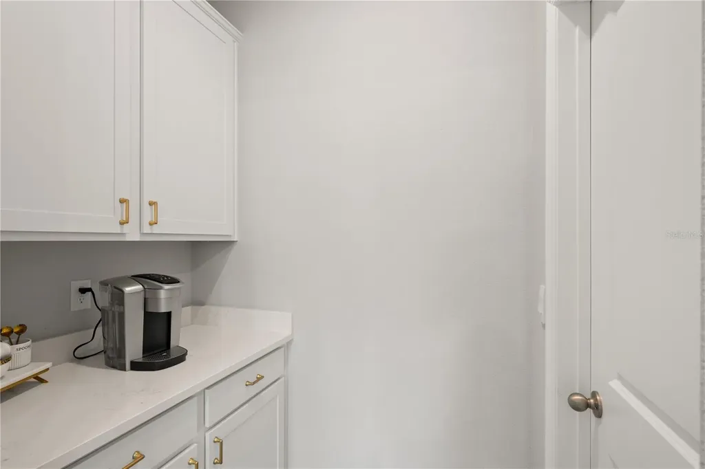 6199 Wandering Willow Drive Wesley Chapel FL 33545