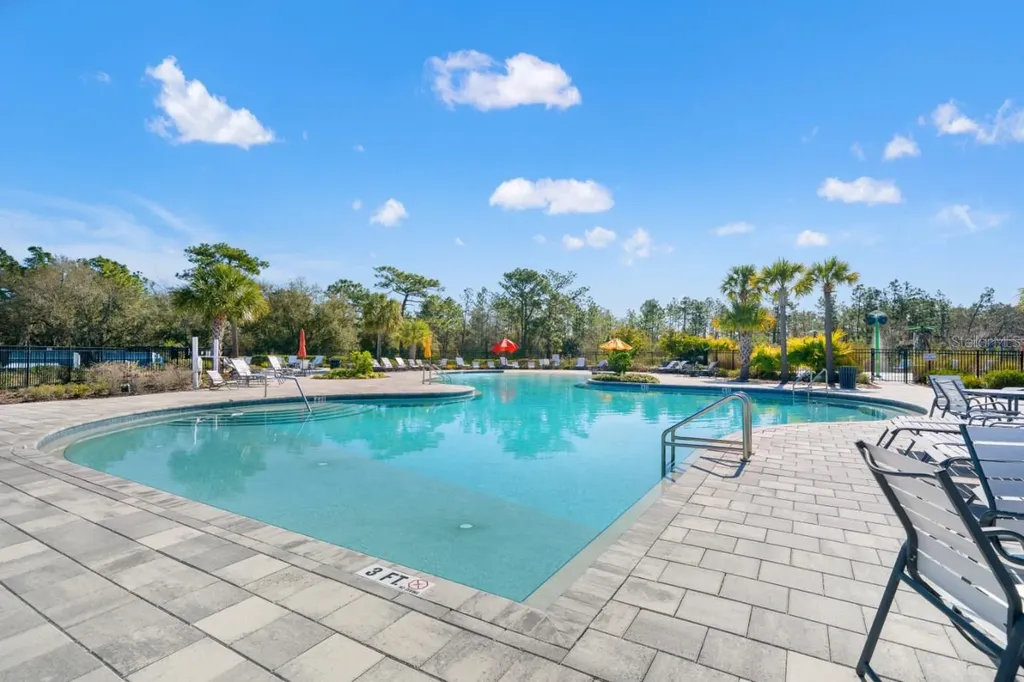 6199 Wandering Willow Drive Wesley Chapel FL 33545