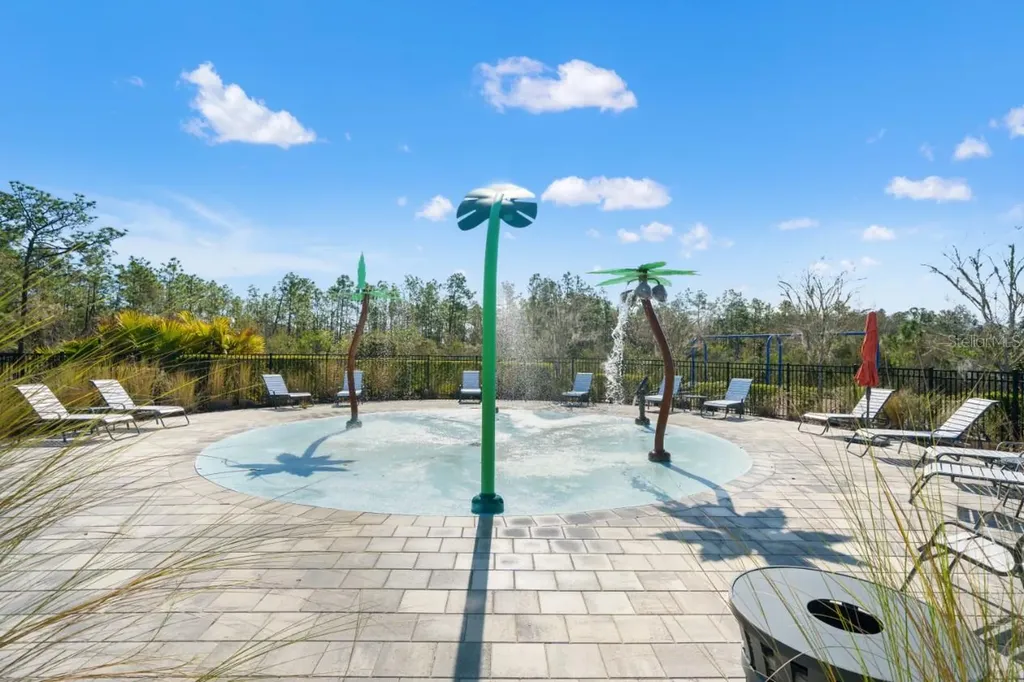 6199 Wandering Willow Drive Wesley Chapel FL 33545