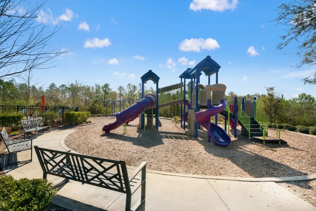 6199 Wandering Willow Drive Wesley Chapel FL 33545