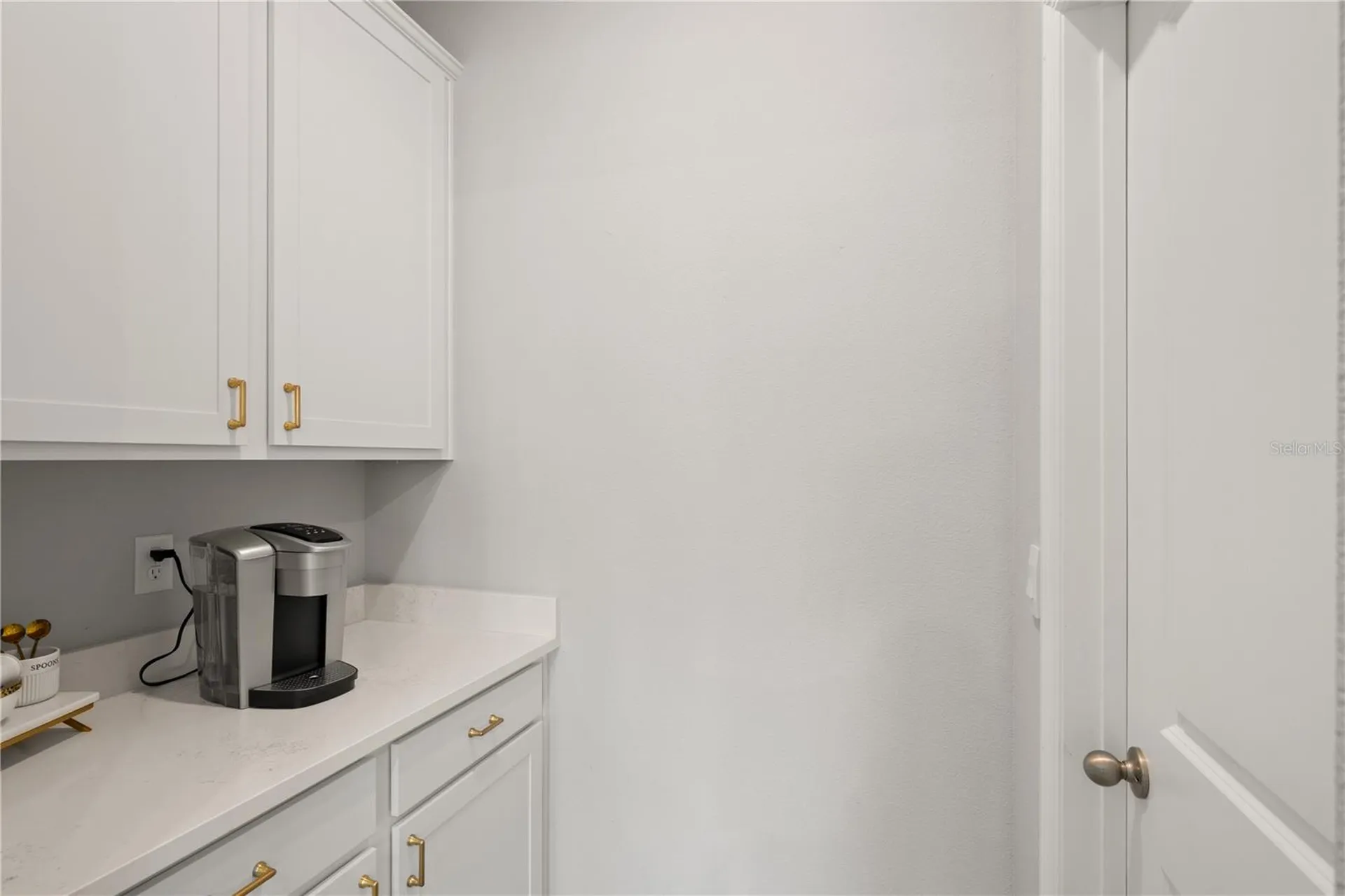 6199 Wandering Willow Drive Wesley Chapel FL 33545