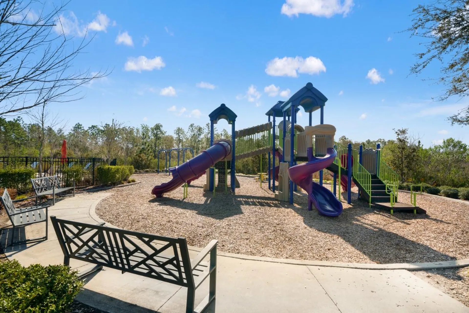 6199 Wandering Willow Drive Wesley Chapel FL 33545
