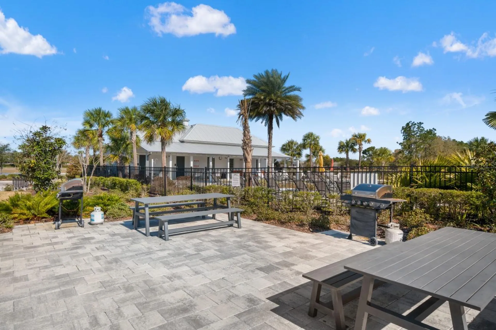 6199 Wandering Willow Drive Wesley Chapel FL 33545