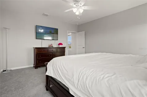 6199 Wandering Willow Drive Wesley Chapel FL 33545