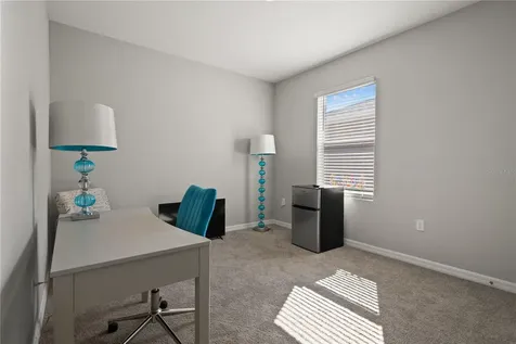 6199 Wandering Willow Drive Wesley Chapel FL 33545