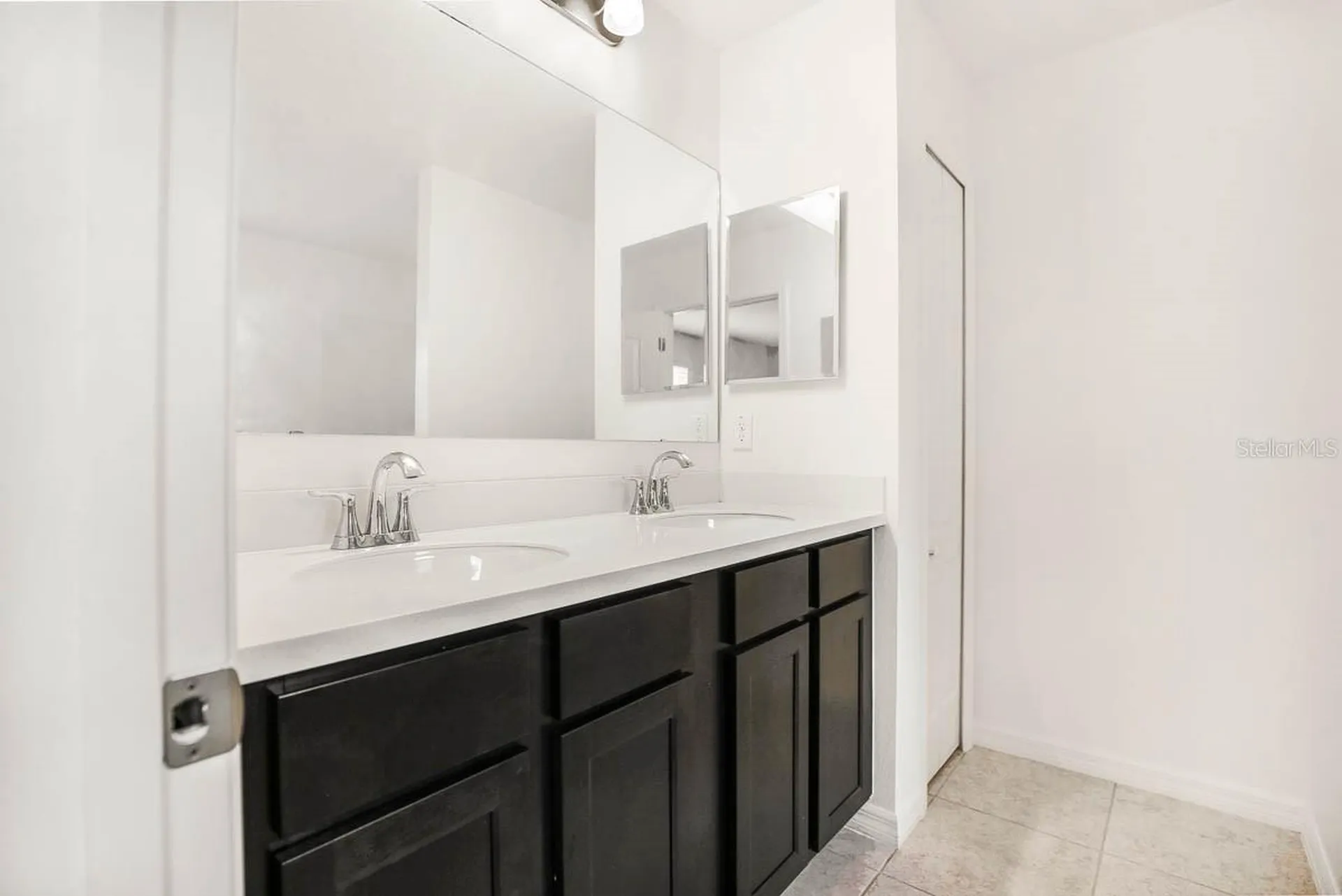 4713 Trout Lily Street Tampa FL 33610
