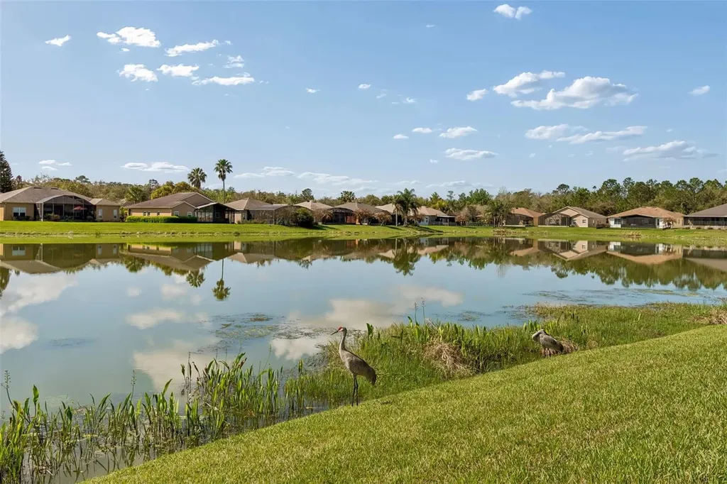 813 Glendora Road Kissimmee FL 34759