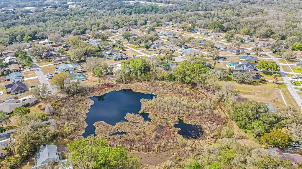 12211 Count Place Thonotosassa FL 33592