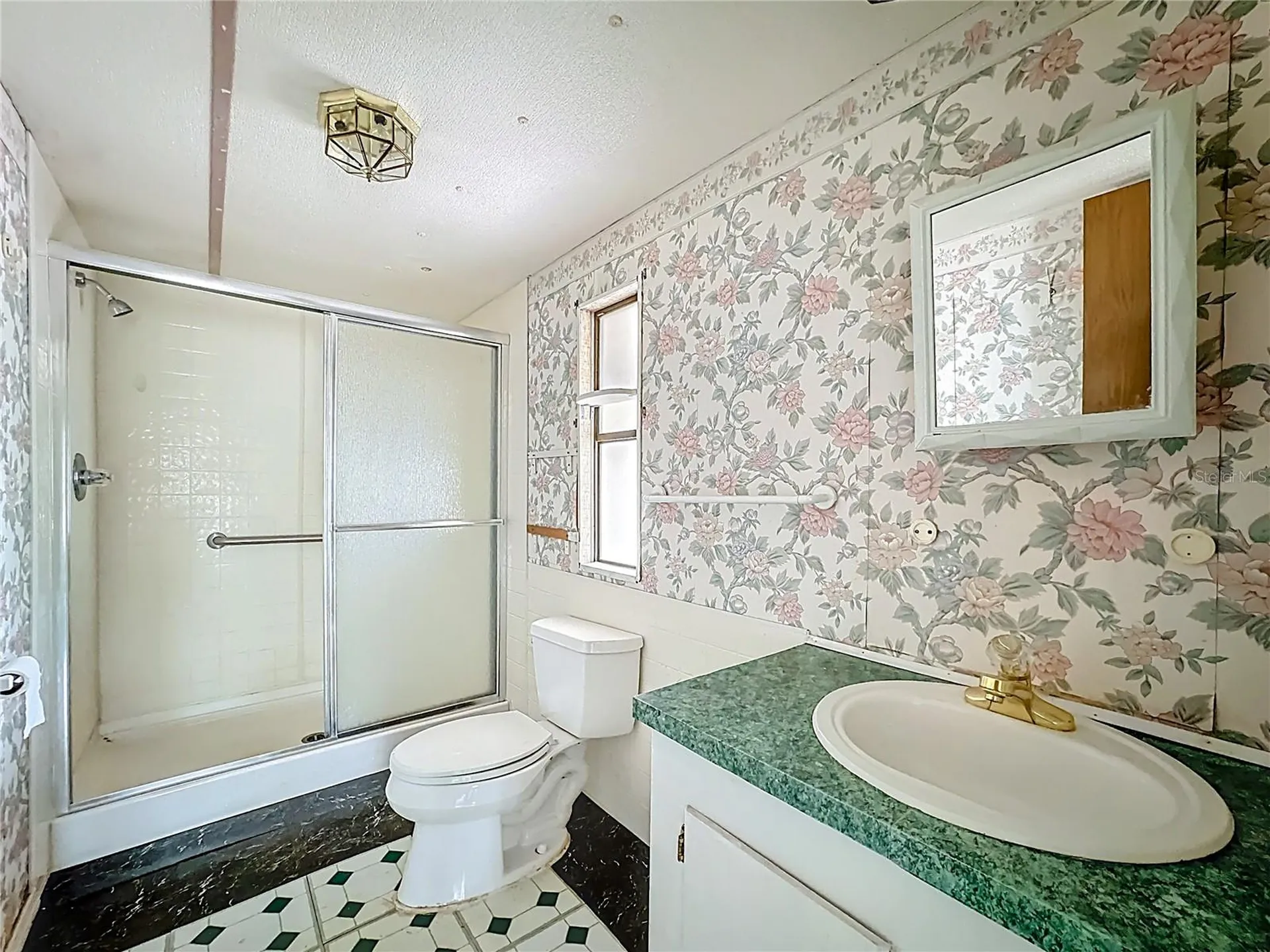 36700 Daisy Lane Fruitland Park FL 34731