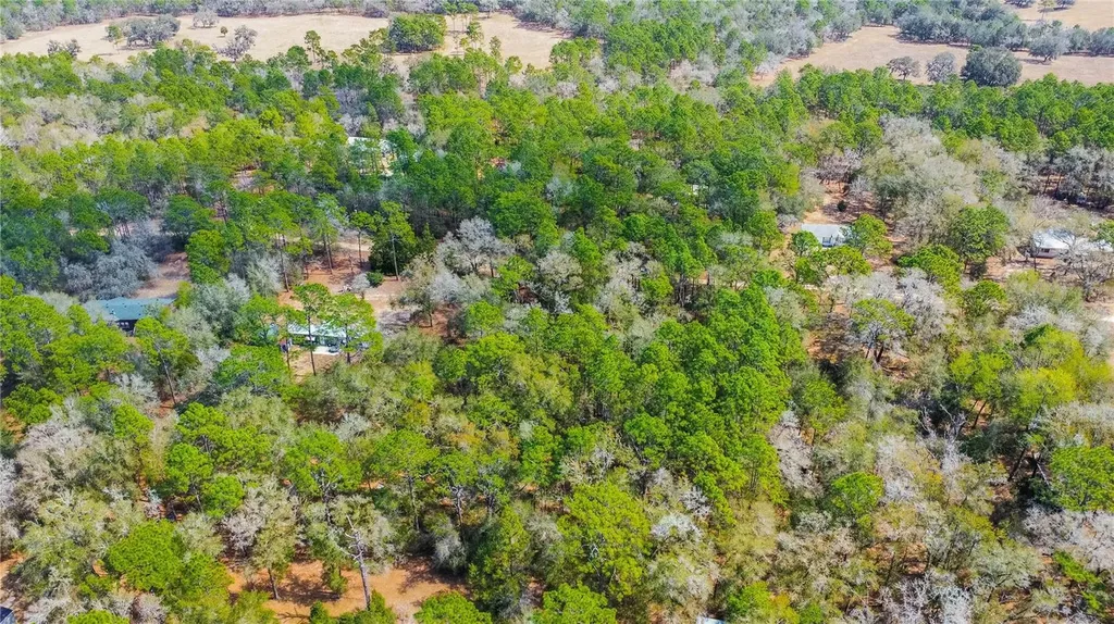 5500 S Cherokee Terrace Inverness FL 34452