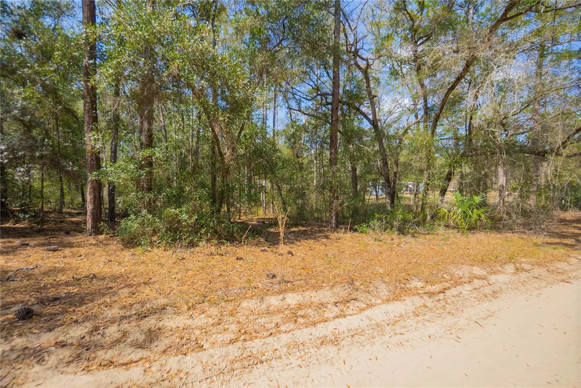 5500 S Cherokee Terrace Inverness FL 34452