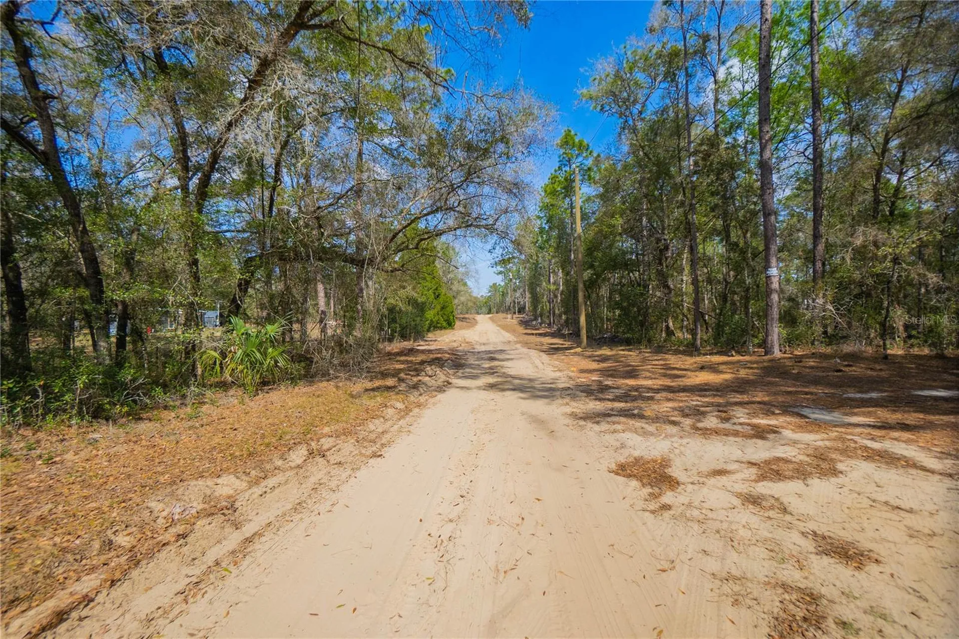 5500 S Cherokee Terrace Inverness FL 34452