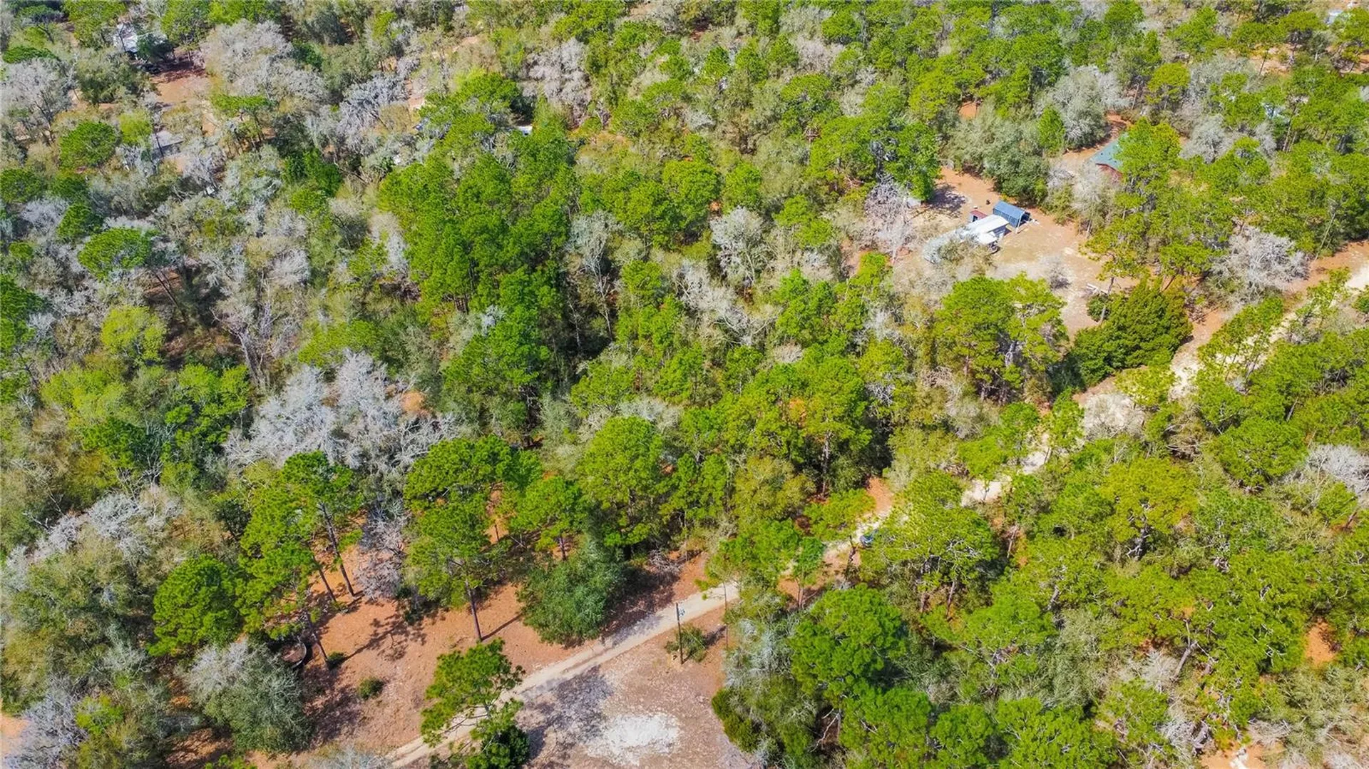 5500 S Cherokee Terrace Inverness FL 34452