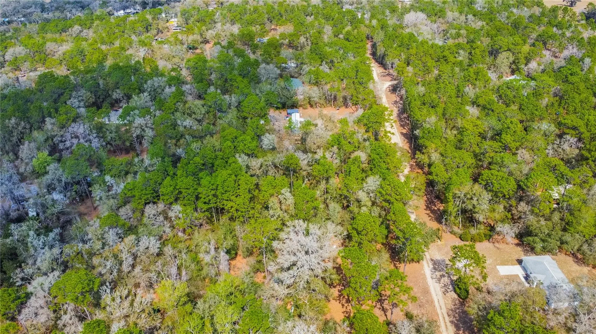 5500 S Cherokee Terrace Inverness FL 34452
