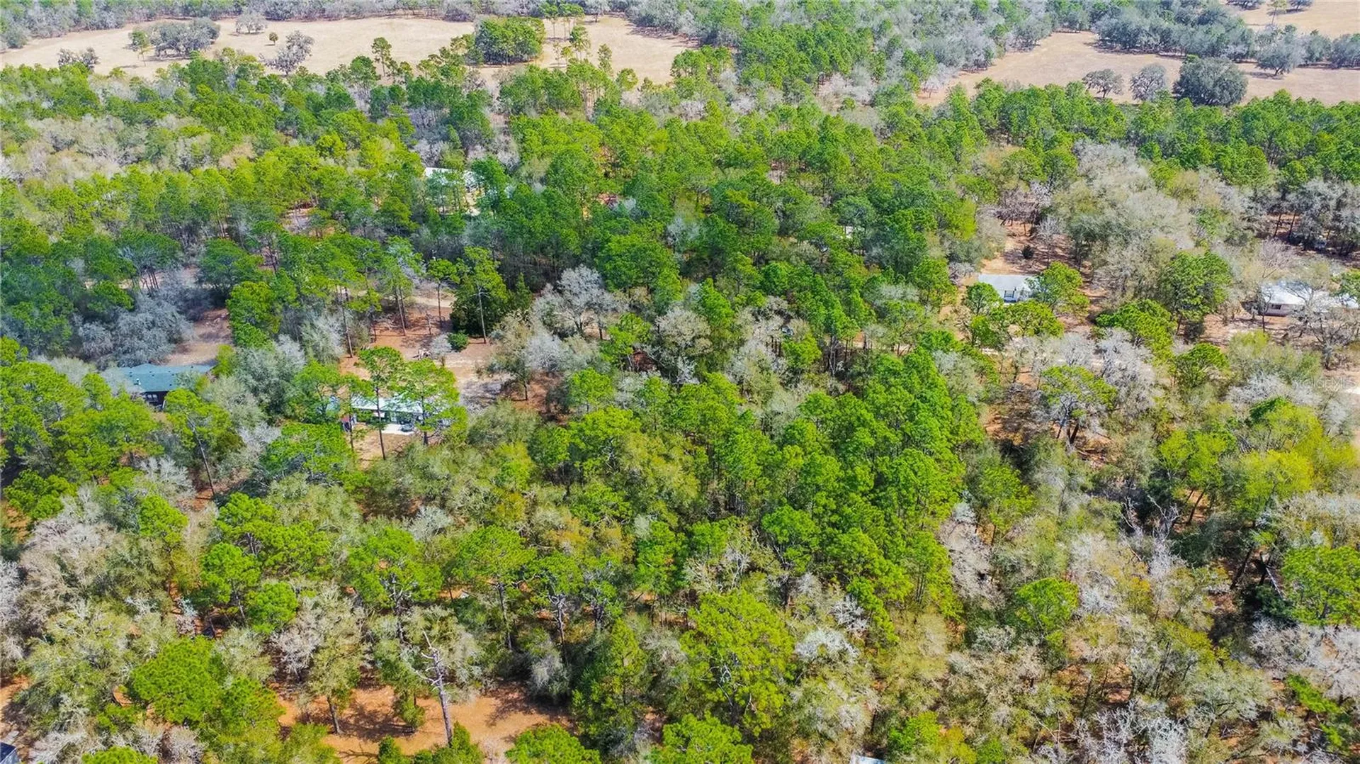 5500 S Cherokee Terrace Inverness FL 34452