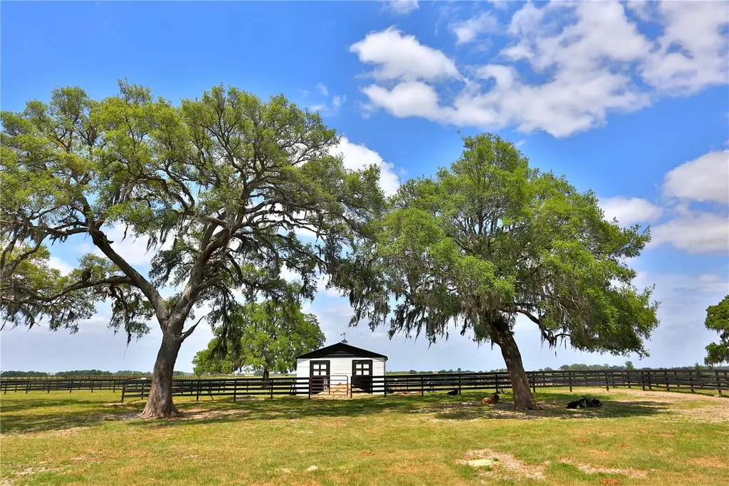 7970 SW 140th Avenue Dunnellon FL 34432