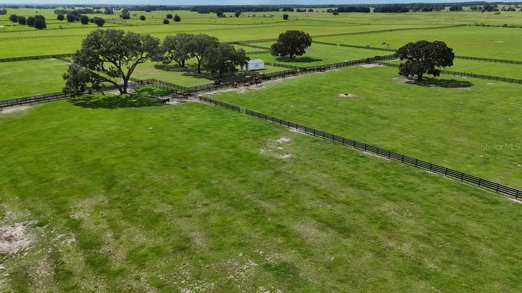 7970 SW 140th Avenue Dunnellon FL 34432