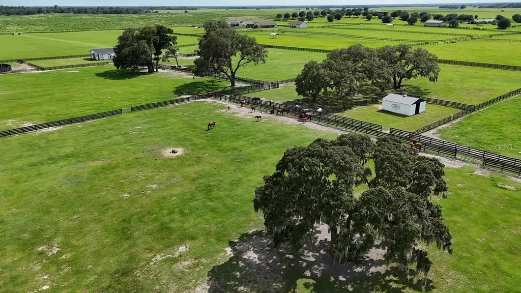 7970 SW 140th Avenue Dunnellon FL 34432