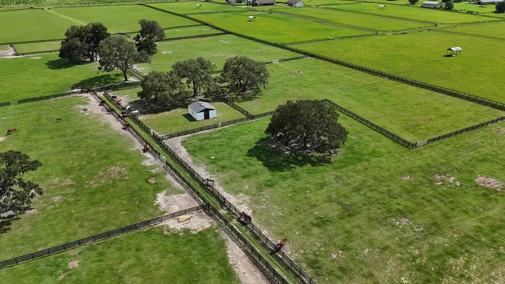 7970 SW 140th Avenue Dunnellon FL 34432
