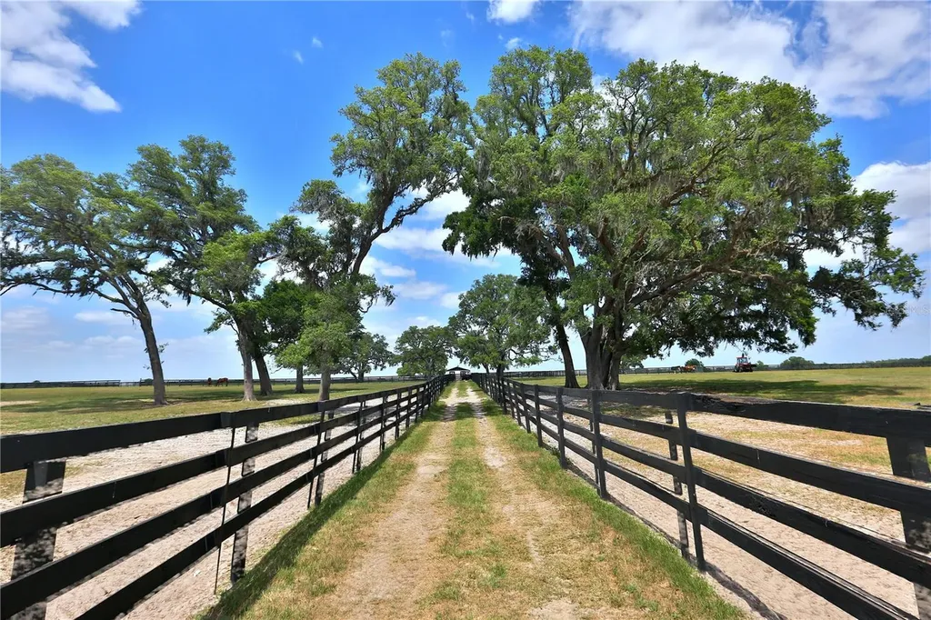 7970 SW 140th Avenue Dunnellon FL 34432