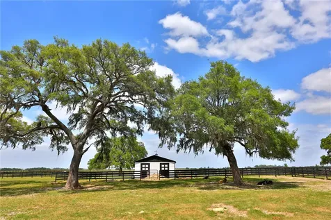 7970 SW 140th Avenue Dunnellon FL 34432