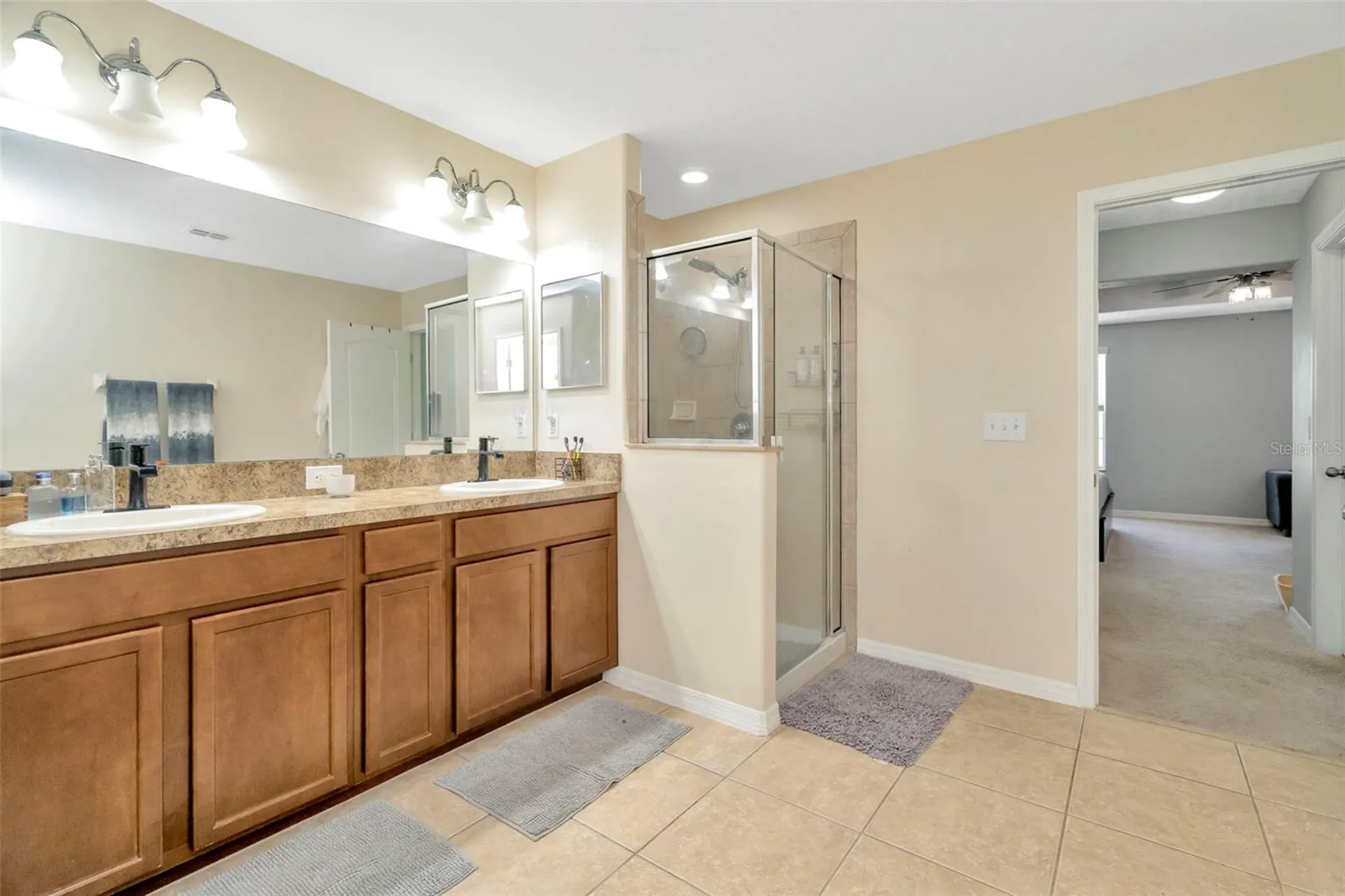 313 Shell Manor Drive Ruskin FL 33570
