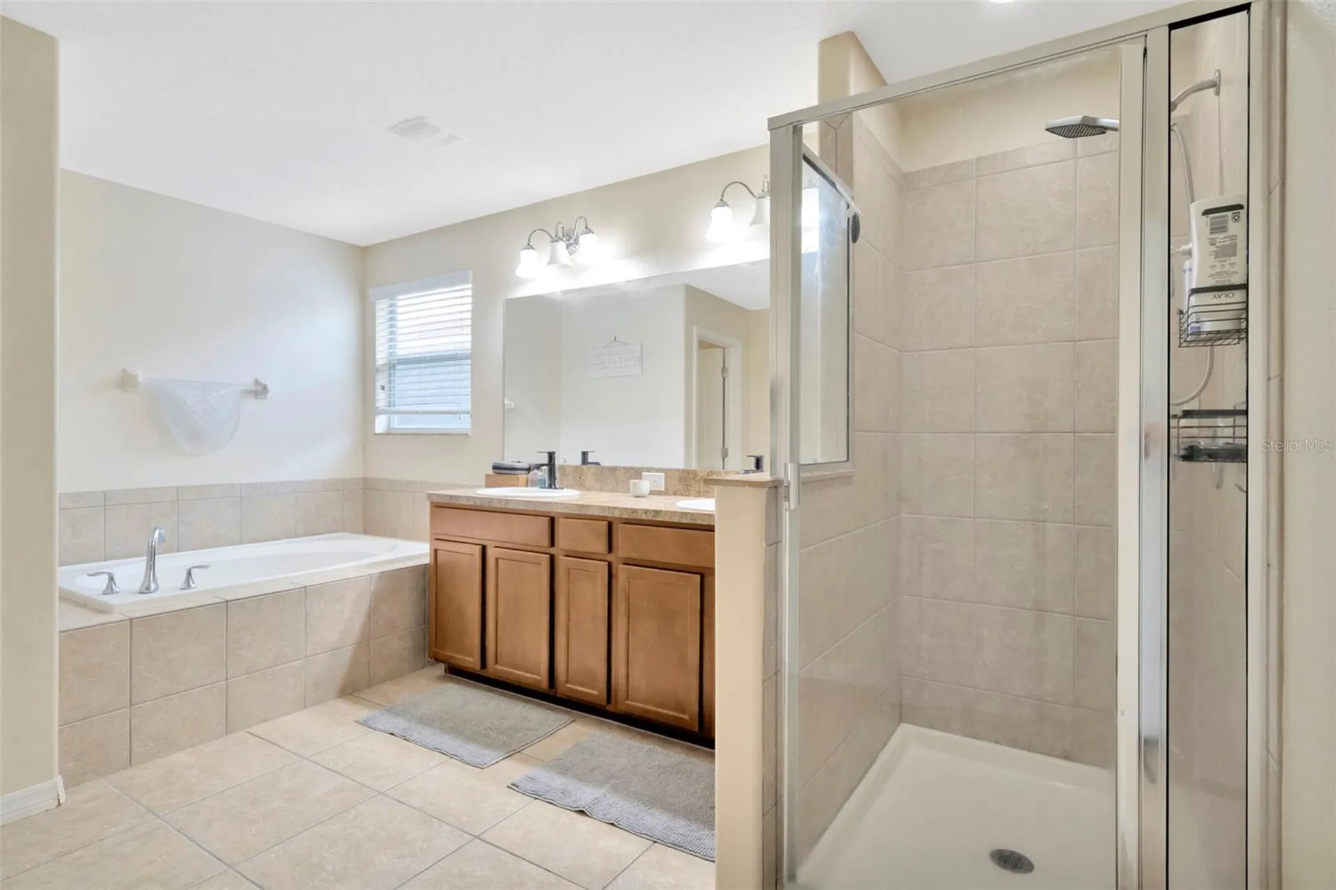 313 Shell Manor Drive Ruskin FL 33570