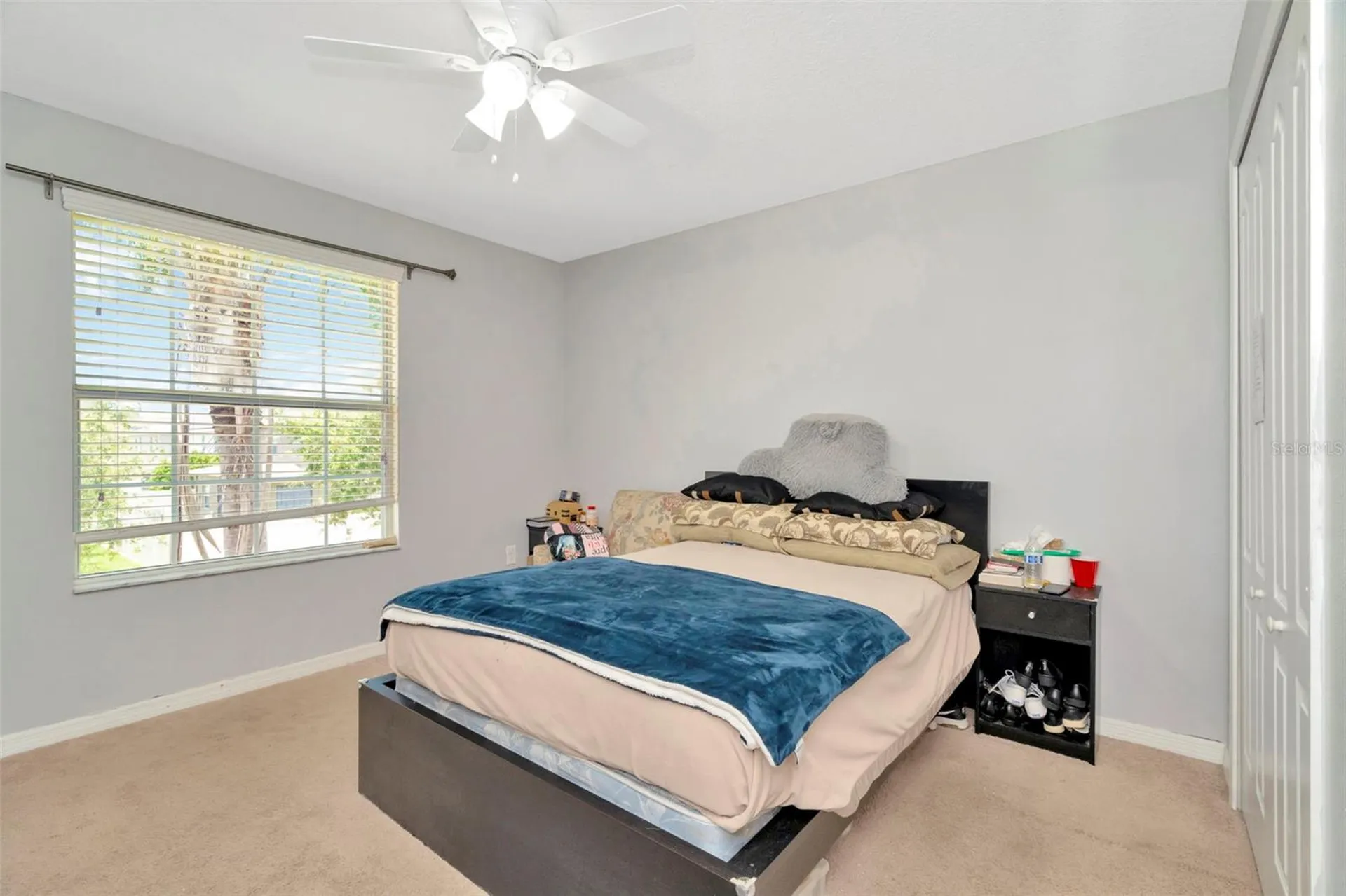 313 Shell Manor Drive Ruskin FL 33570