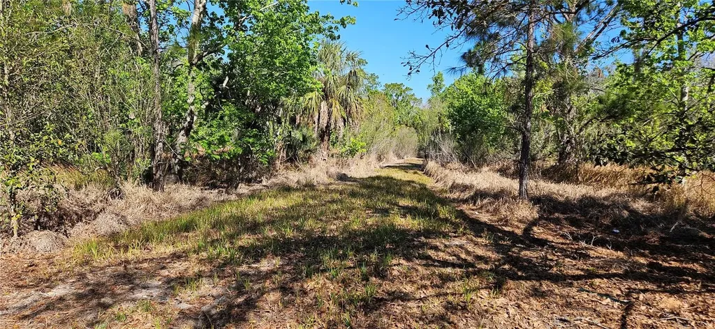 6336 Timberlane Road Lake Wales FL 33898