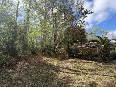 6 Zeppelin Court Palm Coast FL 32164