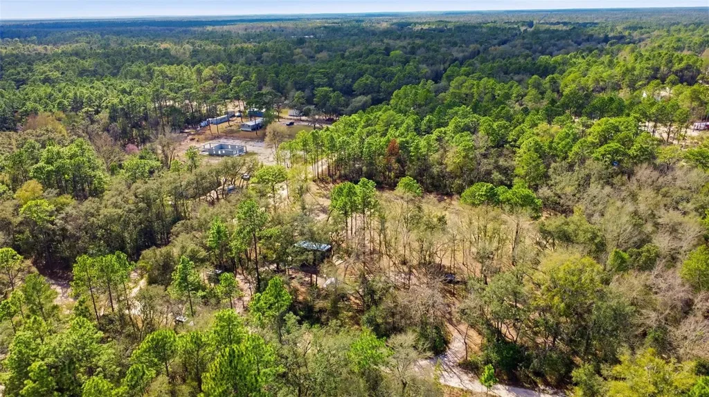 15484 SW 70th Avenue Dunnellon FL 34432