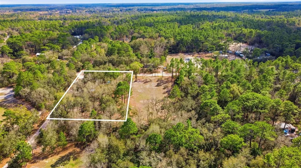 15484 SW 70th Avenue Dunnellon FL 34432