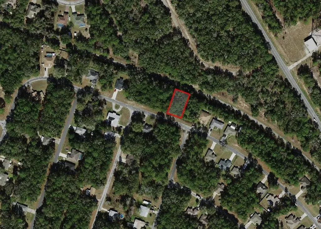 9875 N Sandree Drive Citrus Springs FL 34434