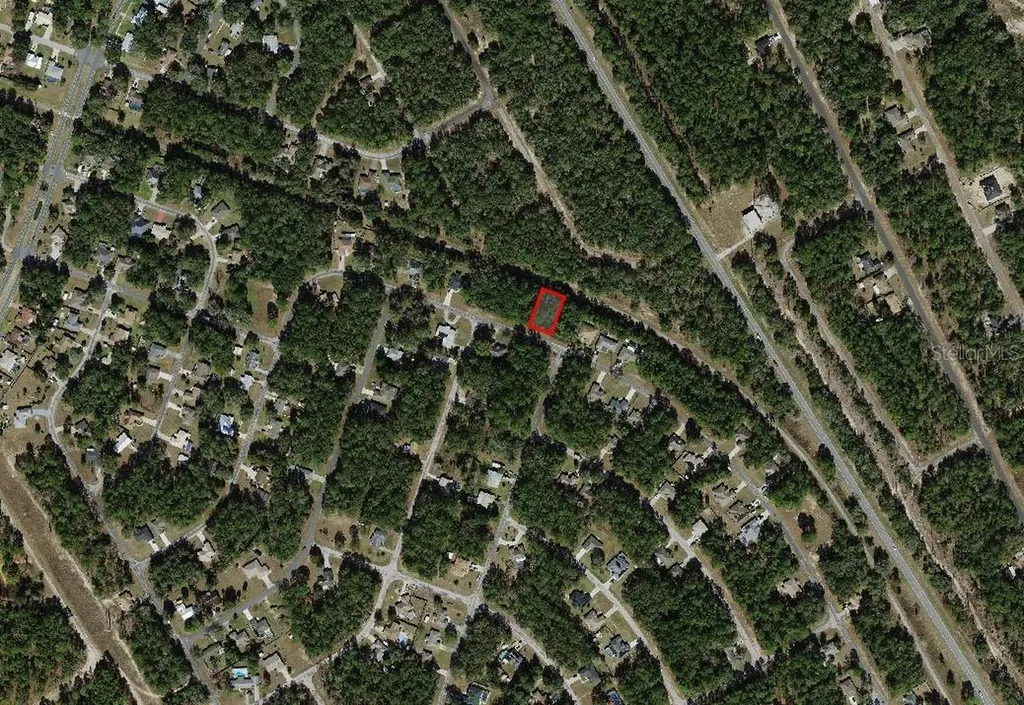 9875 N Sandree Drive Citrus Springs FL 34434