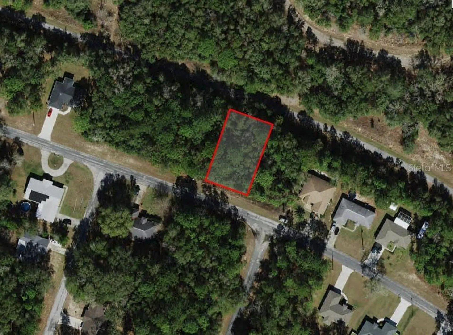 9875 N Sandree Drive Citrus Springs FL 34434