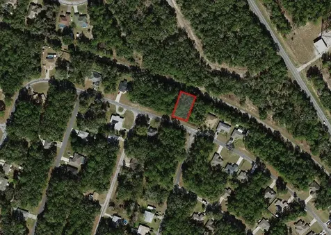 9875 N Sandree Drive Citrus Springs FL 34434