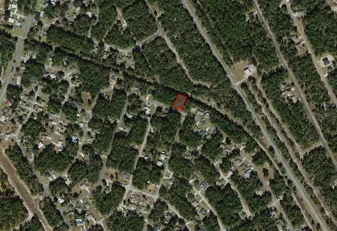 9875 N Sandree Drive Citrus Springs FL 34434