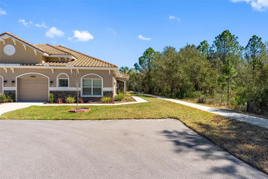 29800 Anand Vihar Drive Wesley Chapel FL 33543