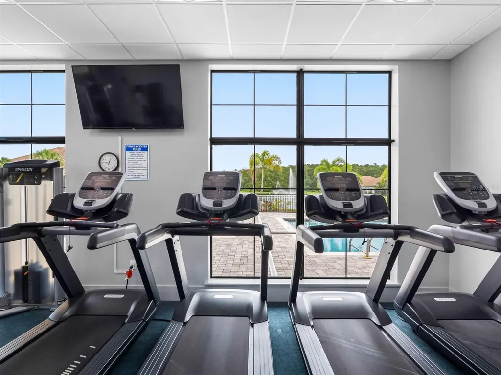 29800 Anand Vihar Drive Wesley Chapel FL 33543