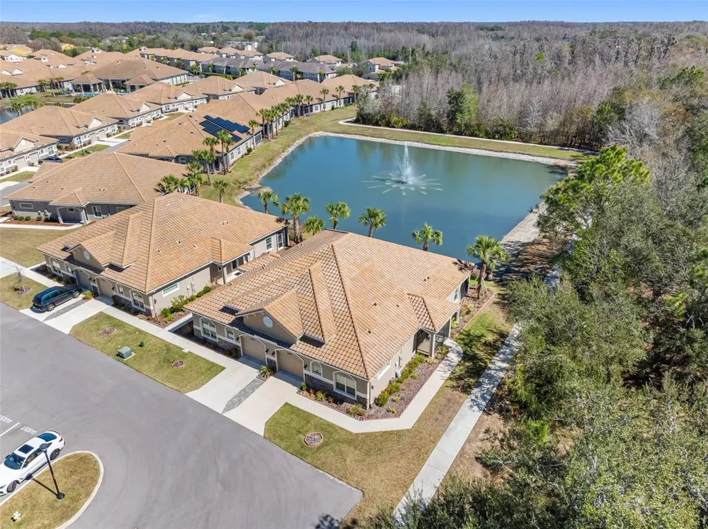 29800 Anand Vihar Drive Wesley Chapel FL 33543