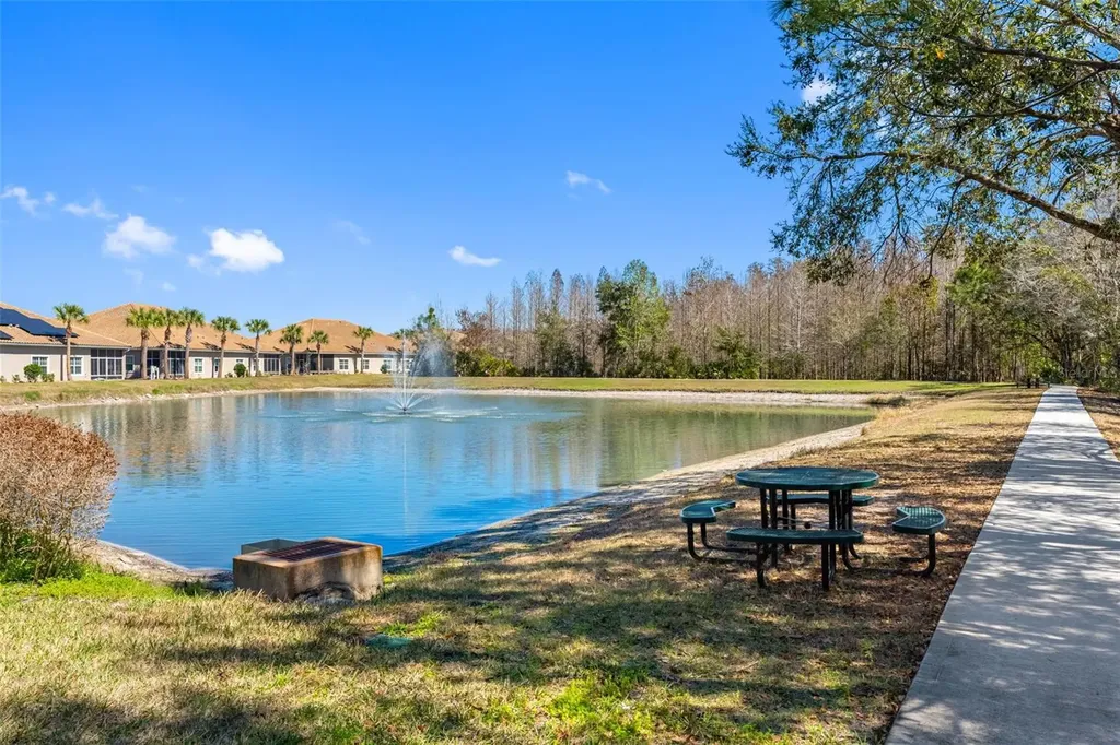 29800 Anand Vihar Drive Wesley Chapel FL 33543