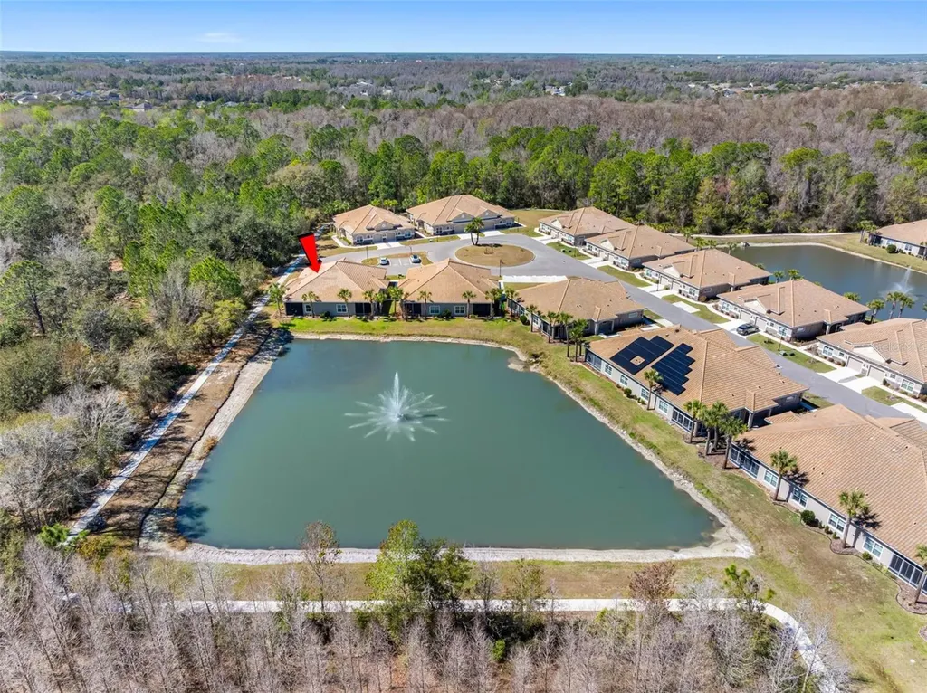 29800 Anand Vihar Drive Wesley Chapel FL 33543