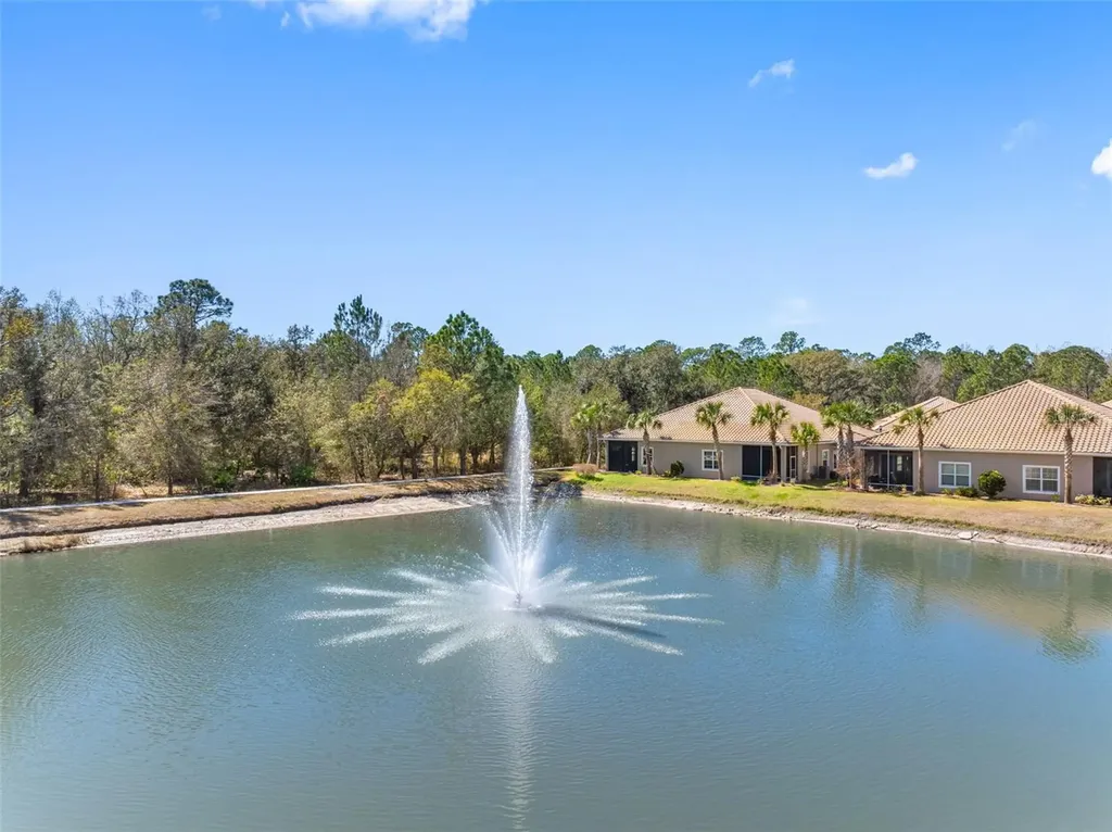 29800 Anand Vihar Drive Wesley Chapel FL 33543