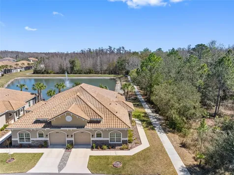 29800 Anand Vihar Drive Wesley Chapel FL 33543