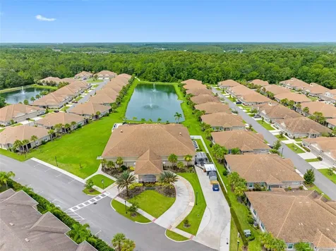29800 Anand Vihar Drive Wesley Chapel FL 33543